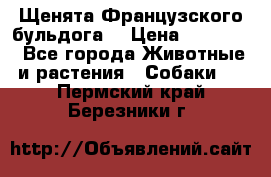 Щенята Французского бульдога. › Цена ­ 45 000 - Все города Животные и растения » Собаки   . Пермский край,Березники г.